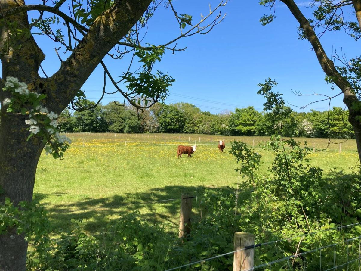 1br-sleeps2-field View-parking-cabin Experience Holiday home *
