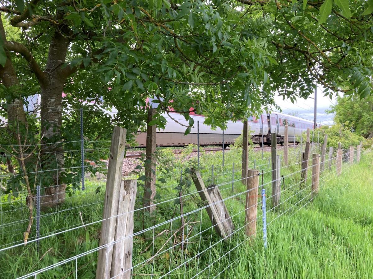 1br-sleeps2-field View-parking-cabin Experience Holiday home